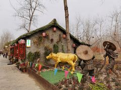 -合肥滨湖国家森林公园