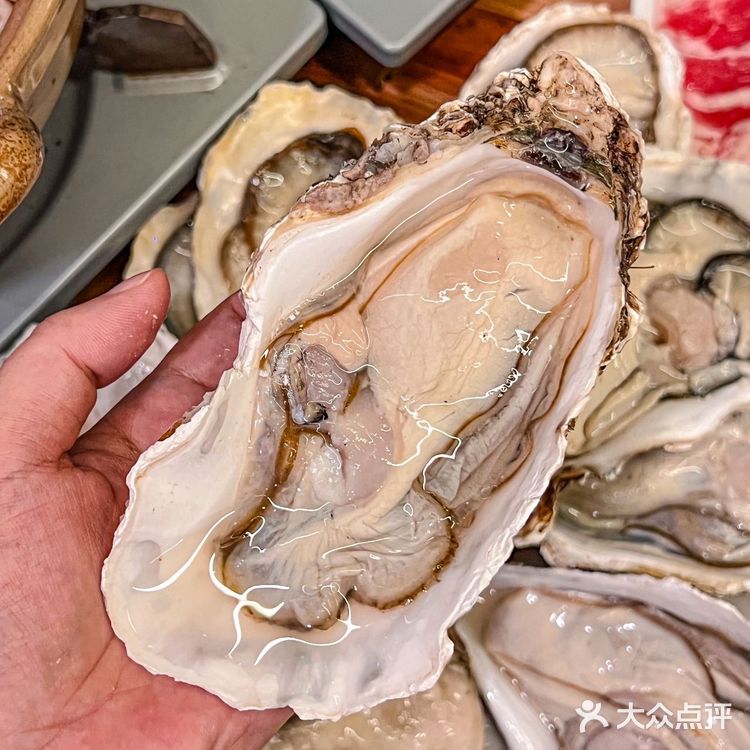 宝安的这家鸡煲吃了一次之后就真的让我难忘的不行