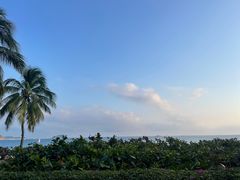 -渔家火锅·海鲜自助餐·演艺(亚龙湾天域酒店)