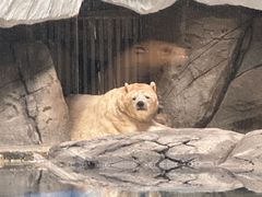 -海合安武汉极地海洋公园