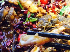 -老板恋上鱼(恒隆广场店)