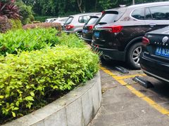 -福建鲤鱼洲酒店