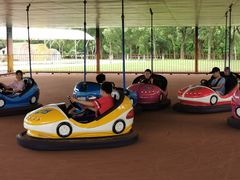 -上海海湾国家森林公园