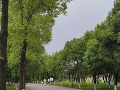 -洋湖国家湿地公园