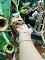 -Zoolung Zoolung动物主题公园(海信广场店)