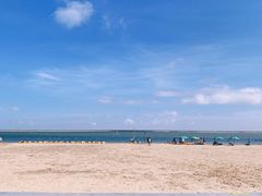 -碧海金沙