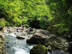 -布袋山风景区