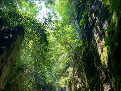 -蝶舞清江·恩施云顶景区(黄鹤峰林)