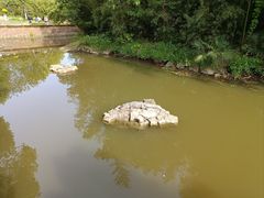 -上海野生动物园