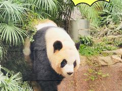 -石排湾郊野公园