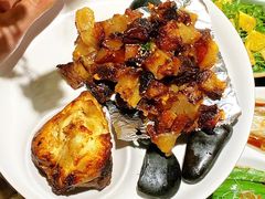 -蒙料·手把肉(望京店)