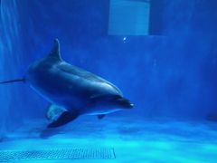 -多彩贵州城极地海洋世界