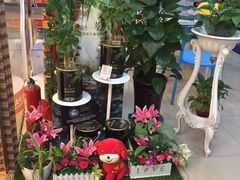 -立邦(汶水红星美凯龙专卖店)
