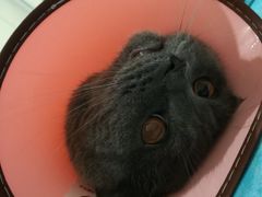 -美迦爱-牙专科·兔科·骨科诊疗中心(北苑店)