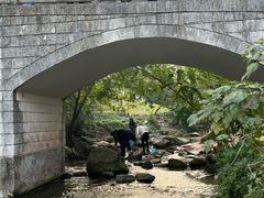 -重庆彩云湖湿地公园