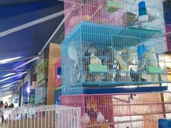 -青石桥花鸟鱼虫市场(叠翠城店)