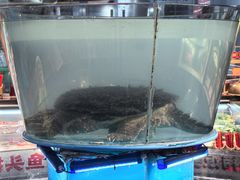 -魏铭鱼头捞饭(晋阳路店)