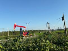 -小李子油焖大虾向阳总店