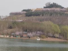 -河北省园博园