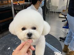-宠物家(角门东店)