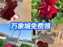 -天津万象城