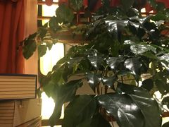 -佰家小厨·南京菜(夫子庙店)
