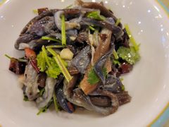 -鹤乡东北菜(崮山路店)