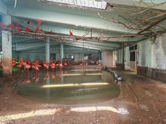 -石家庄市动物园