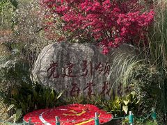 -昆山城市生态森林公园