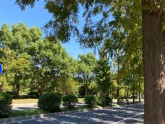 -蜀冈西峰生态公园