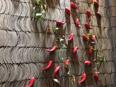 -小龙坎火锅(东汇城店)