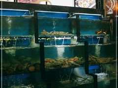 水产区-老东镇啤酒屋海鲜加工·蒸汽海鲜·海鲜烧烤(台东店)