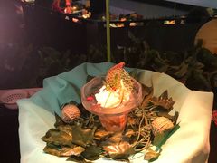 -地球美食剧场