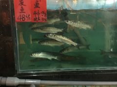 -吉莲利苑海鲜酒家(珠海拱北28年老字号店)