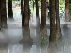-东湖落雁景区