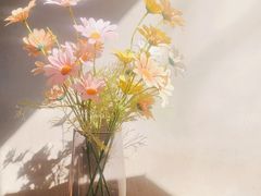 -村上春树