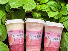 -树夏(建设路店)