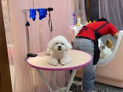 -FAELING PETS美天灵宠物(富力广场店)