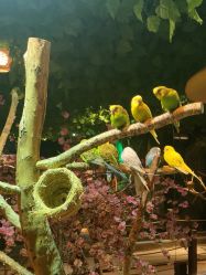 -酷嗒动物文化乐园(cutezoo西溪乐天城店)