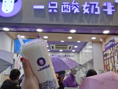 -一只酸奶牛(八一路店)