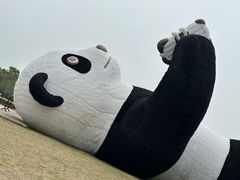 -苏州太湖国家湿地公园