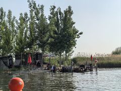 -白洋淀风景区