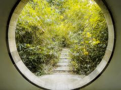 -八大山人梅湖景区