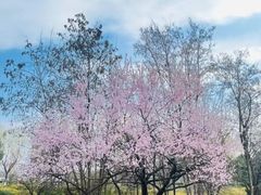 -嵖岈山风景区