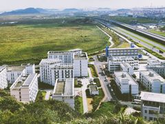 -洋山深水港