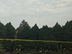 -晋祠公园