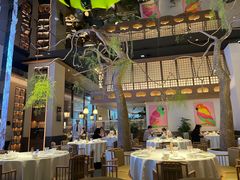 -桂满陇·海市蜃楼·黑金(国金店)