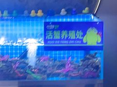 -徐记小怪兽肉蟹煲店(哈西万达金街店)