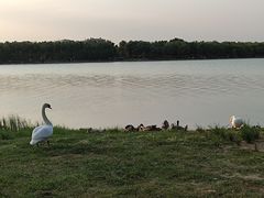 -北龙湖湿地公园