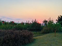-芒洲湿地公园